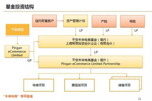 蘑菇街股价暴跌背后 平安创投踩雷，散户损失惨重，股权投资管理的警示